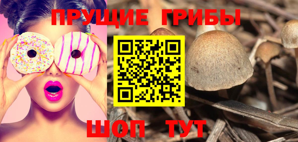 Alpha PVP Сланцы