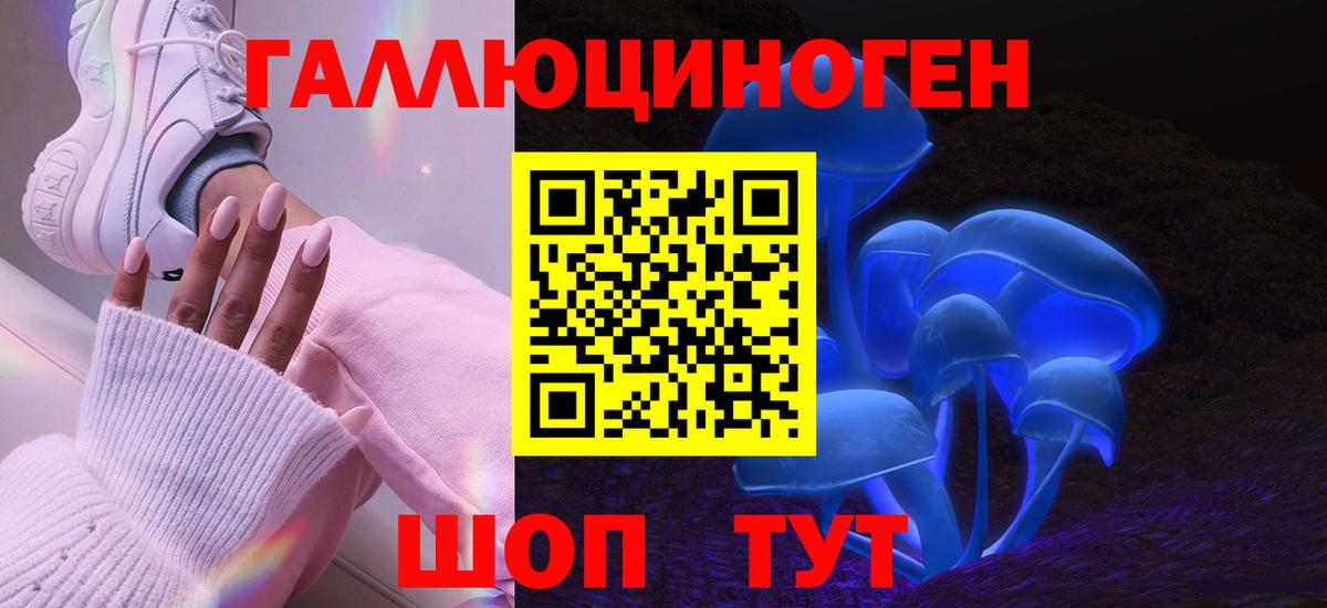 купить наркотики сайты  Галлюциногенные грибы мухоморы  Вход с VPN  Сланцы  Псилоцибиновые грибы GOLDEN TEACHER 