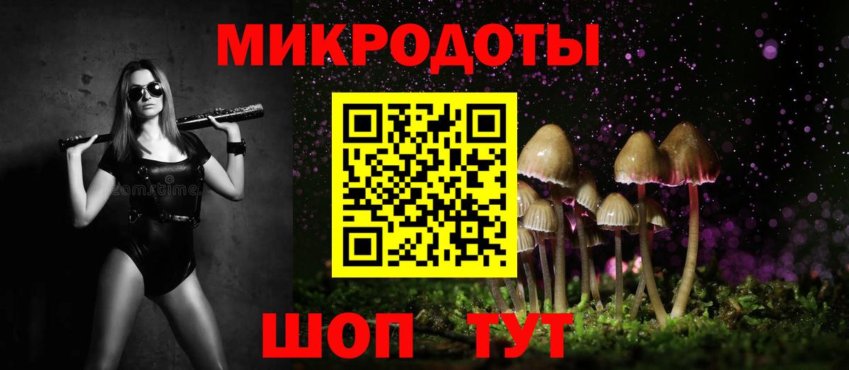 Галлюциногенные грибы ЛСД Сланцы