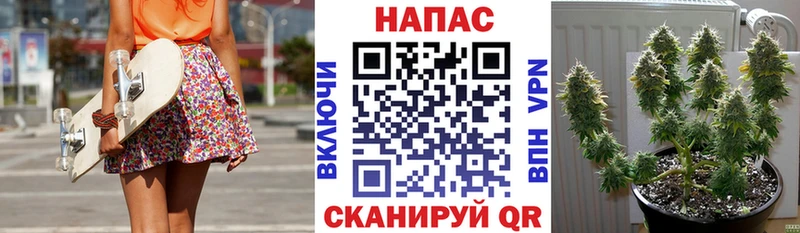 MEGA ссылки  наркотики  Сланцы  Марихуана SATIVA & INDICA 